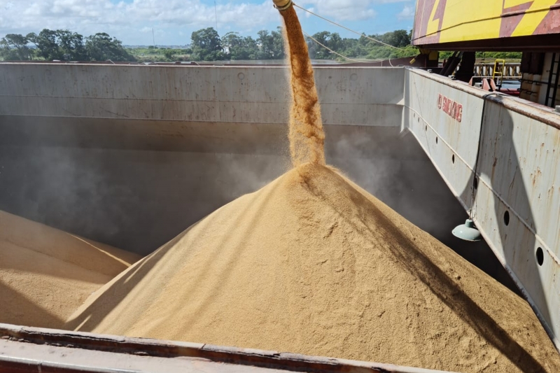Anúncio foi comemorado pelo setor arrozeiro gaúcho e Federarroz reforça investimento do produtor na exportação do grão