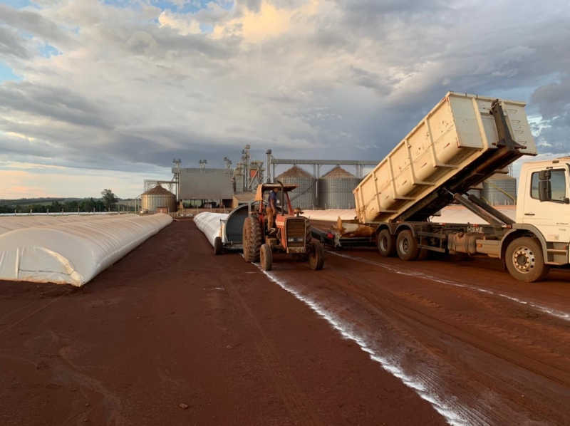 Cada unidade tem 60 metros de comprimento