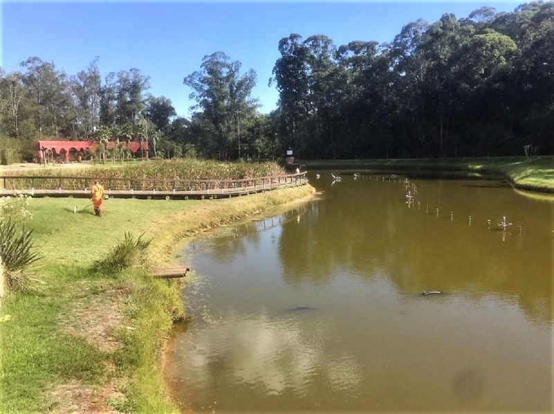 Equipes concentraram esforços para recuperar o lago do Capão do Corvo