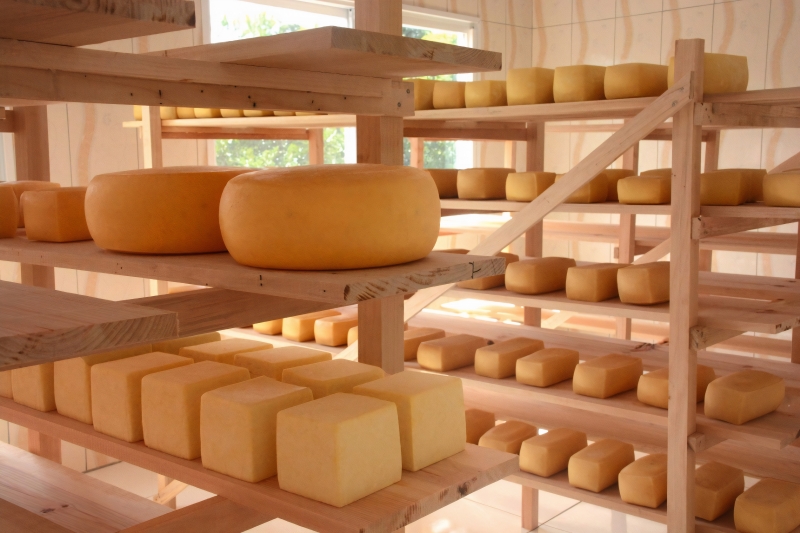 Laboratório da UFFS fará estudos técnicos em relação ao tempo de maturação necessária para os produtos