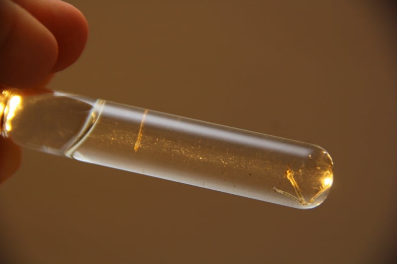 11 óbitos pela doença já foram registrados na Capital desde o início do ano