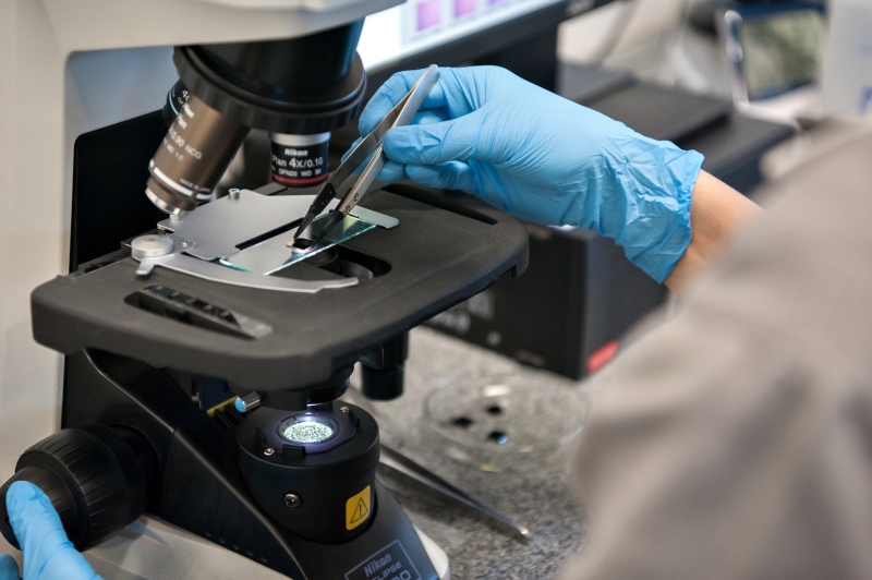 Empresas do setor automobilístico poderão desenvolver estudos