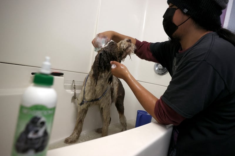 Lei está vigente desde a última sexta-feira, 6 de fevereiro