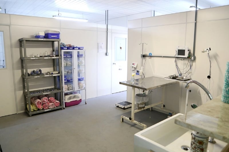 Local foi construído em prédio que estava abandonado junto ao canil