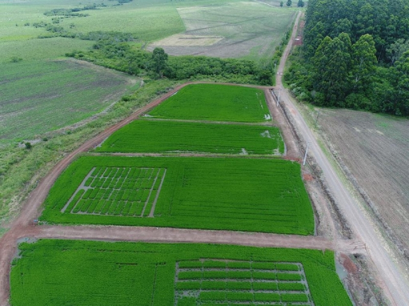 No modelo proposto, as culturas agrícolas são monitoradas com o auxílio de câmeras especiais e drones