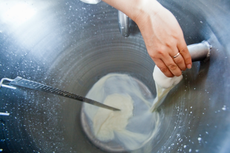 Prêmio avaliará indicadores de tambos gaúchos no período de outubro de 2021 a junho de 2022 