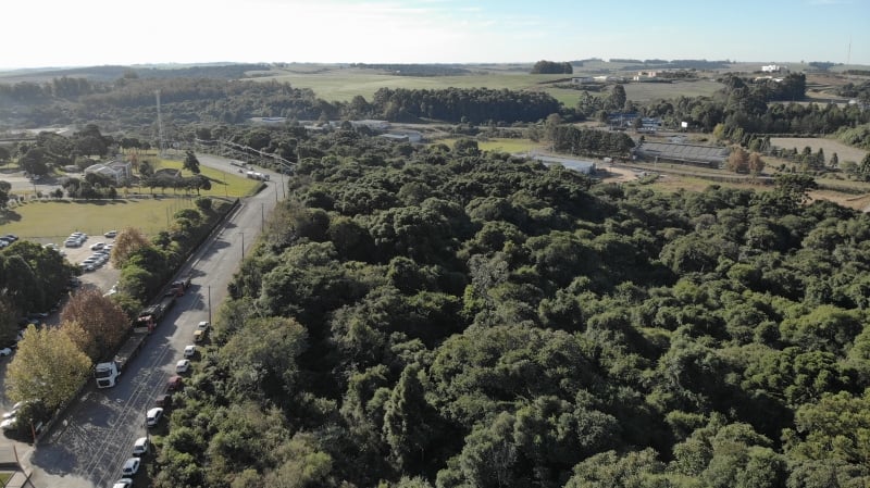Áreas da cidade têm fragmentos da Mata Atlântica, raras no território brasileiro e importantes no ecossistema
