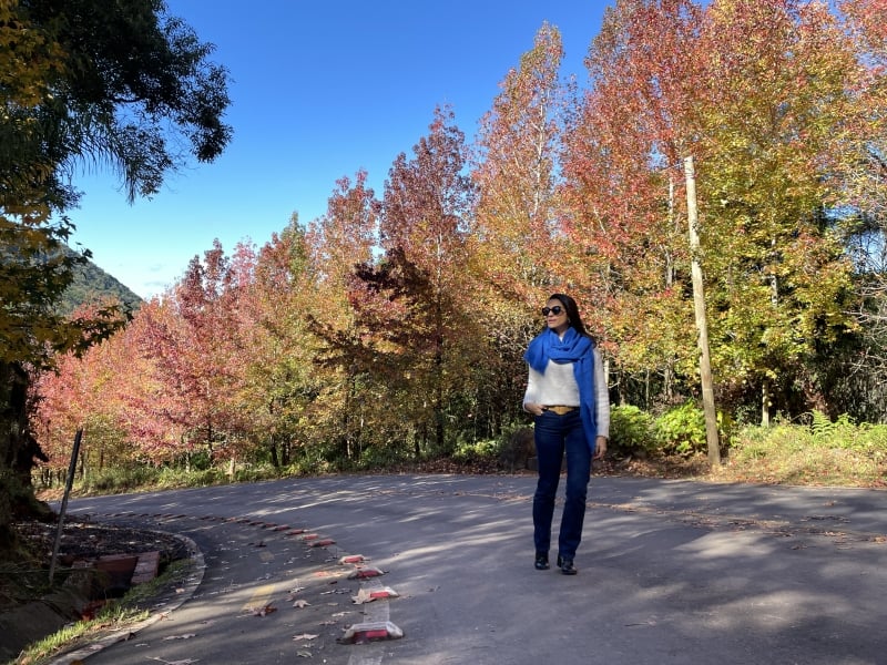 Empresas Especial Rota Romântica Anelise em estrada de Gramado