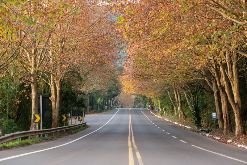 Expectativa é de retomada do movimento de turistas com destaque para programações em meio à natureza e ao ar livre