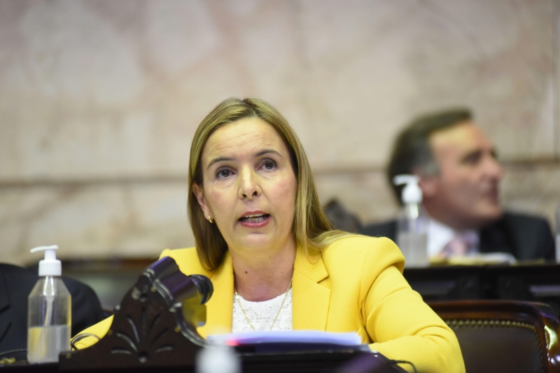 Ingrid elaborou projeto que questiona as intenções do presidente argentino