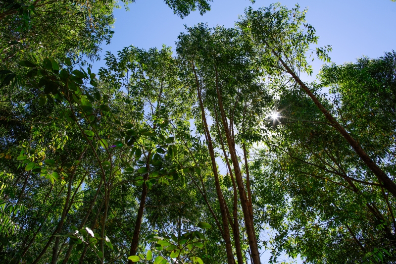 Política Nacional de Biocombustíveis é único comércio regulado no País para conter o avanço climático