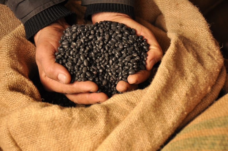 Cada produtor poderá comercializar até 8,4 toneladas nos pregões da Conab