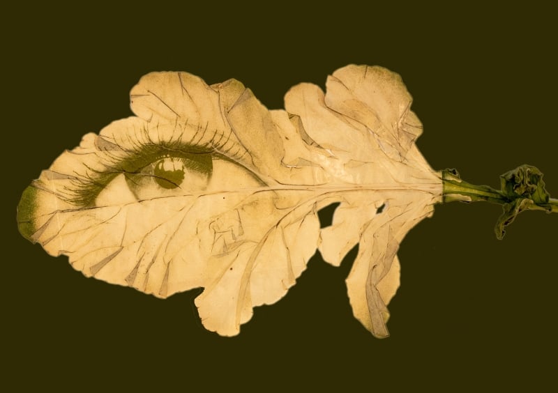 Uma das organizadoras do evento, Anelise Ferreira ministra oficina 'Fitotipia'