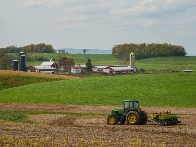 Altos preços estão incentivando agricultores norte-americanos a aumentarem suas lavouras