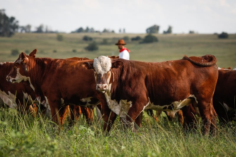Atualização cadastral obrigatória para os produtores rurais terá início em 1º de junho e se estenderá até 31 de outubro
