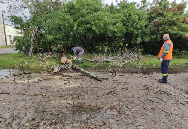 Em Rio Grande, trabalhadores da Defesa Civil atuam pare remover árvores caídas na cidade