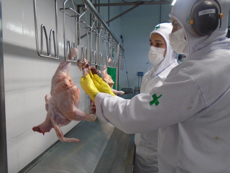 Produtos de origem animal e vegetal representam, respectivamente, 57% e 22% das infrações