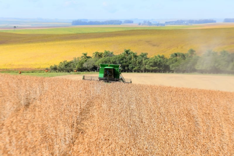 Agropecuária segue entre os segmentos de melhor performance no Estado, registrando avanço de 5,6% no período; indústria teve queda de 4,6%