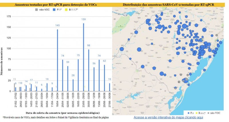 Até o momento foram identificadas 25 linhagens do coronavírus no Estado