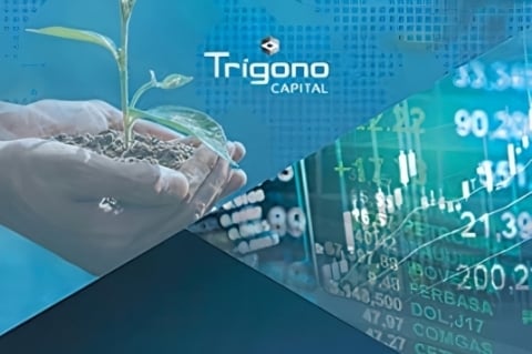 A Trigonometria dos Investimentos; Werner Mueller Roger