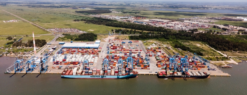 Empresa registrou no primeiro semestre de 2021 a maior movimentação do produtos para outros estados na história do Tecon Rio Grande, 542 TEU 