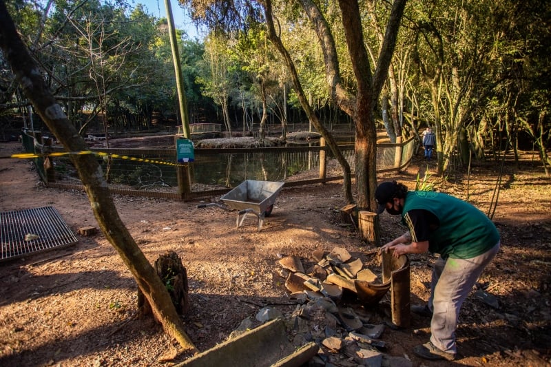 Lago do Parque Getúlio Vargas estava abandonado e foi revitalizado