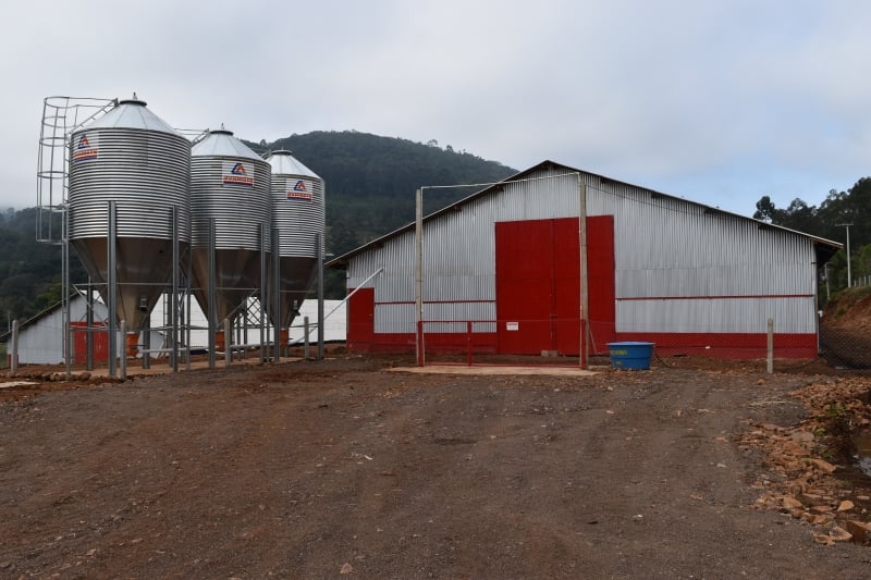 Empreendimento possui dois pavilhões para criação de frangos de corte da Nutrifrango