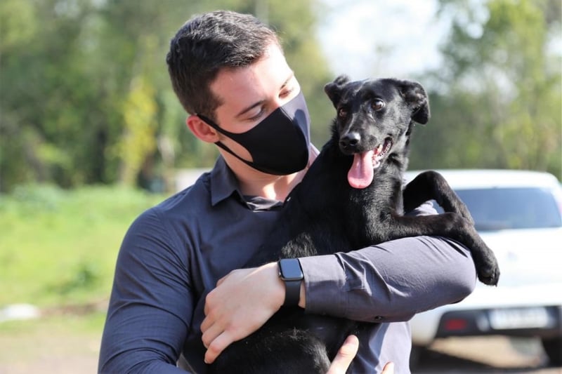 Vira-lata Luna foi a primeira adoção do projeto Cãolaborador