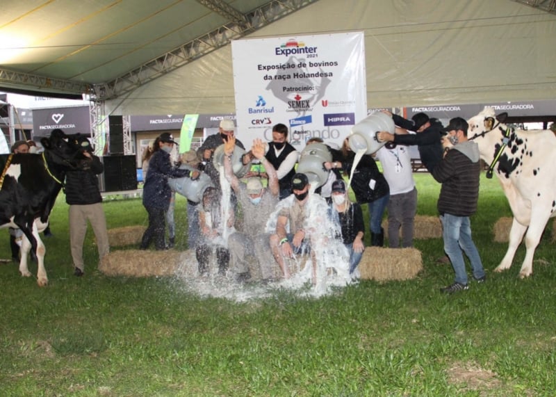 Concurso promovido pela Gadolando na Expointer consagrou a Granja Cichelero