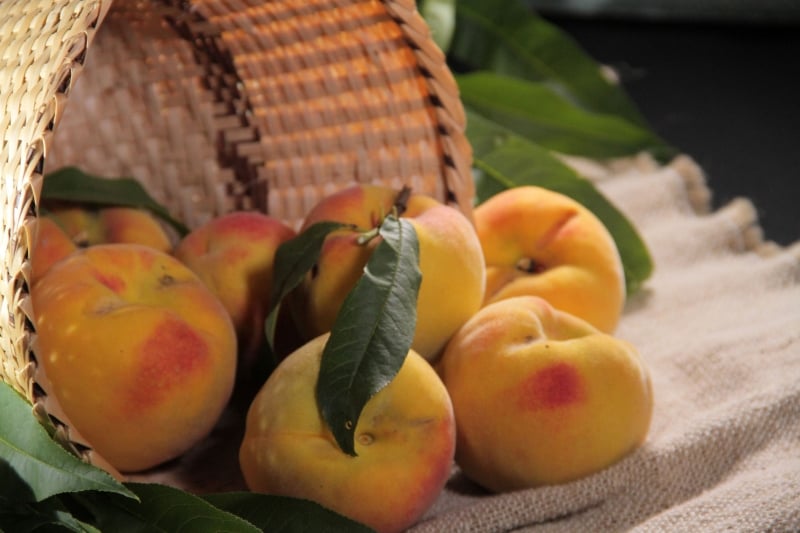 Fruta será comercializada direto dos produtores para os consumidores