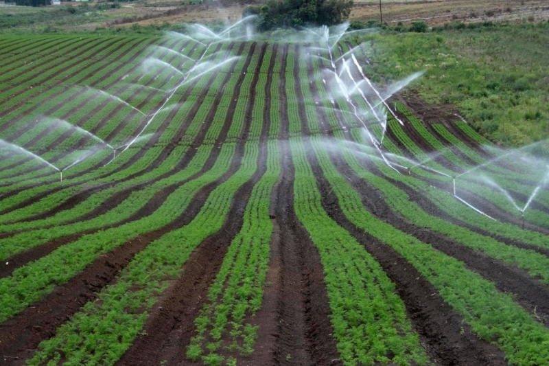 Produtores com projetos de irrigação devem buscar a renovação das licenças ambientais