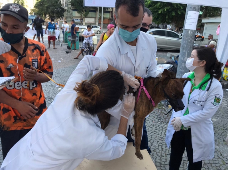 Médicos Veterinários de Rua RJ inspiraram ação no Rio Grande do Sul