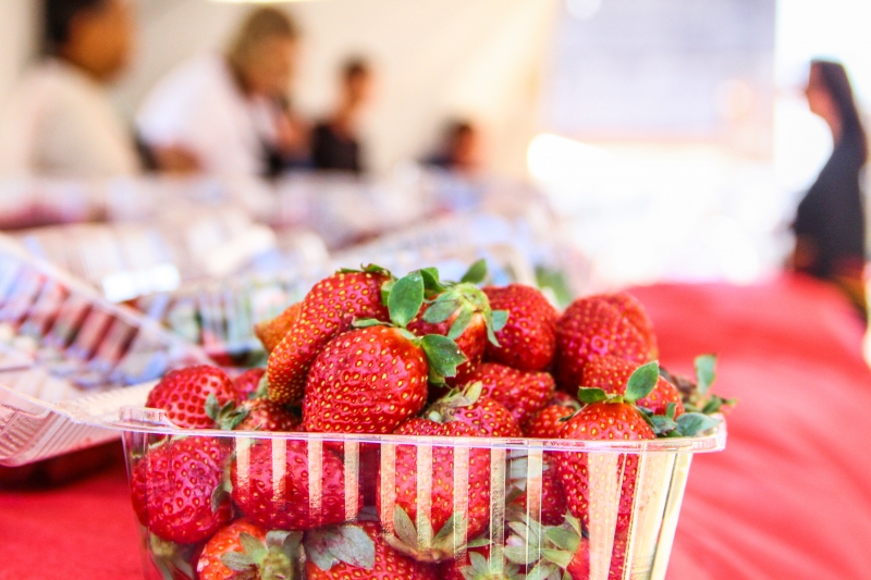 Comercializa&ccedil;&atilde;o da fruta, diretamente do produtor ao consumidor, ocorre em diversos pontos da cidade