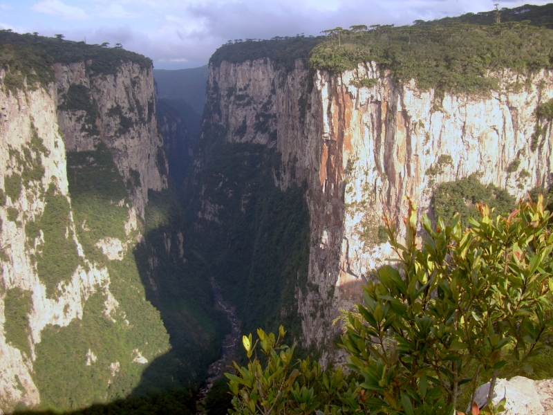 Câmara de Mediação e Arbitragem Empresarial não acolheu pedido da concessionária para o fechamento