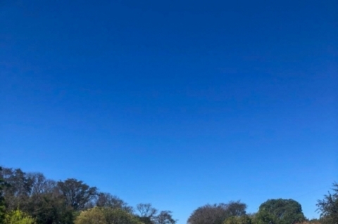 Trânsito de veículos seguirá em uma pista, com fluxo alternado, sendo controlado por um semáforo