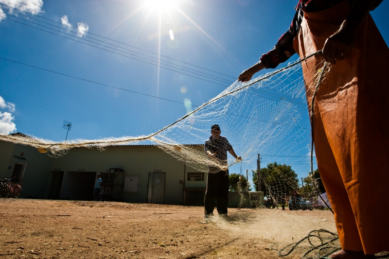 Permissão para captura do dourado e surubim está em discussão