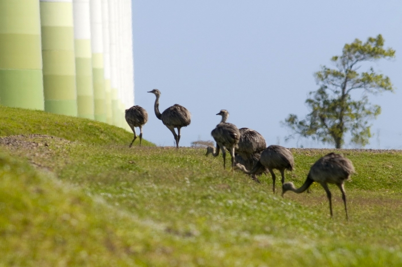 Tudo que foi mantido virou ativo para os turismo ambiental
