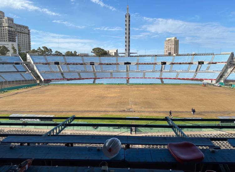 Gramado do estádio está sendo trocado, com a chegada de rolos de grama do Brasil