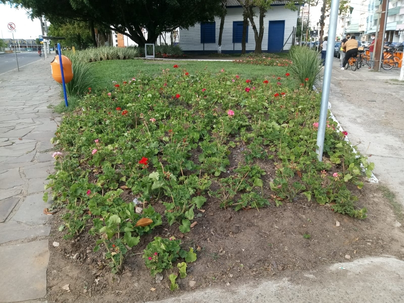 {'nm_midia_inter_thumb1':'https://www.jornaldocomercio.com/_midias/jpg/2021/10/18/206x137/1_whatsapp_image_2021_10_18_at_16_18_16-9445775.jpeg', 'id_midia_tipo':'2', 'id_tetag_galer':'', 'id_midia':'616de13f07f05', 'cd_midia':9445775, 'ds_midia_link': 'https://www.jornaldocomercio.com/_midias/jpg/2021/10/18/whatsapp_image_2021_10_18_at_16_18_16-9445775.jpeg', 'ds_midia': 'Canteiros danificados na Pra&ccedil;a Brigadeiro Sampaio', 'ds_midia_credi': 'MARIVANE ROG&Eacute;RIO/ DIVULGA&Ccedil;&Atilde;O/JC', 'ds_midia_titlo': 'Canteiros danificados na Pra&ccedil;a Brigadeiro Sampaio', 'cd_tetag': '1', 'cd_midia_w': '800', 'cd_midia_h': '600', 'align': 'Left'}