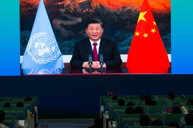Movimento é visto como fortalecimento de Xi no poder diante de incertezas sobre o futuro da economia chinesa