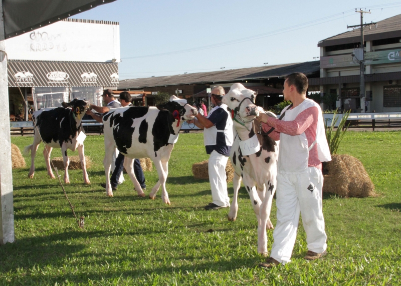 Tradicional evento do Estado acontece de 18 a 22 de maio 