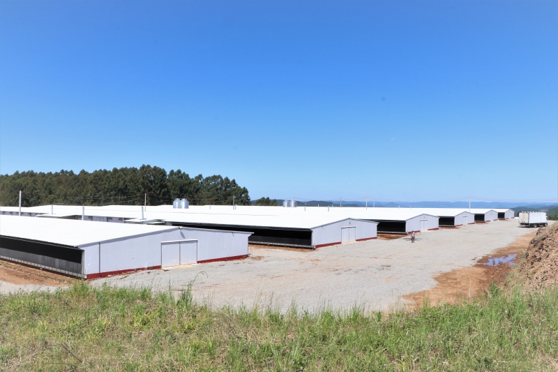 At&eacute; o pr&oacute;ximo ciclo, cinco dos oito pavilh&otilde;es ser&atilde;o utilizados