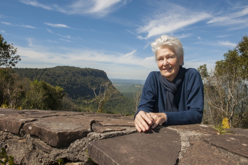 Há mais de 40 anos, artista estuda aplicação das texturas da madeira em diferentes suportes