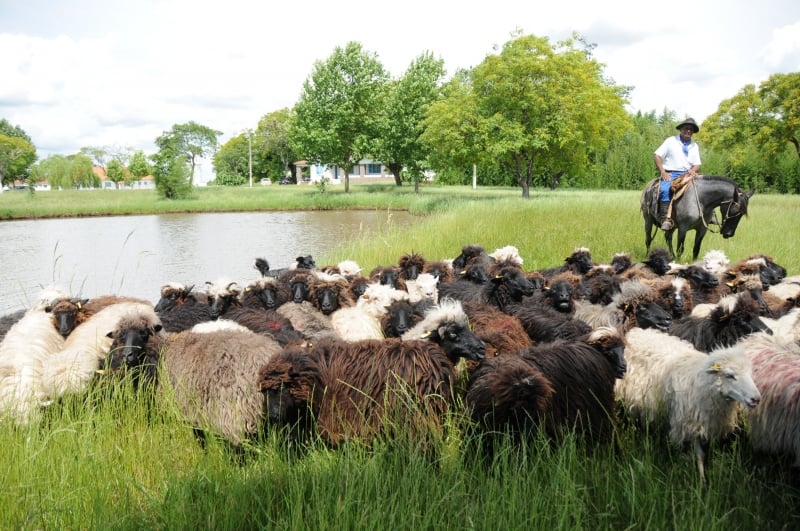 Fios mais grossos se prestam ao artesanato e ? tape?aria art?stica