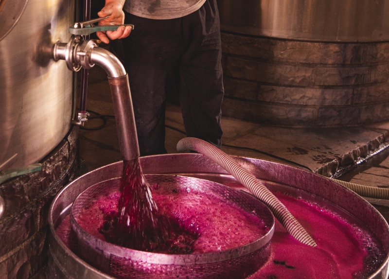 Vinícolas estão desenvolvendo roteiros com foco no turista mais familiarizado com a viticultura