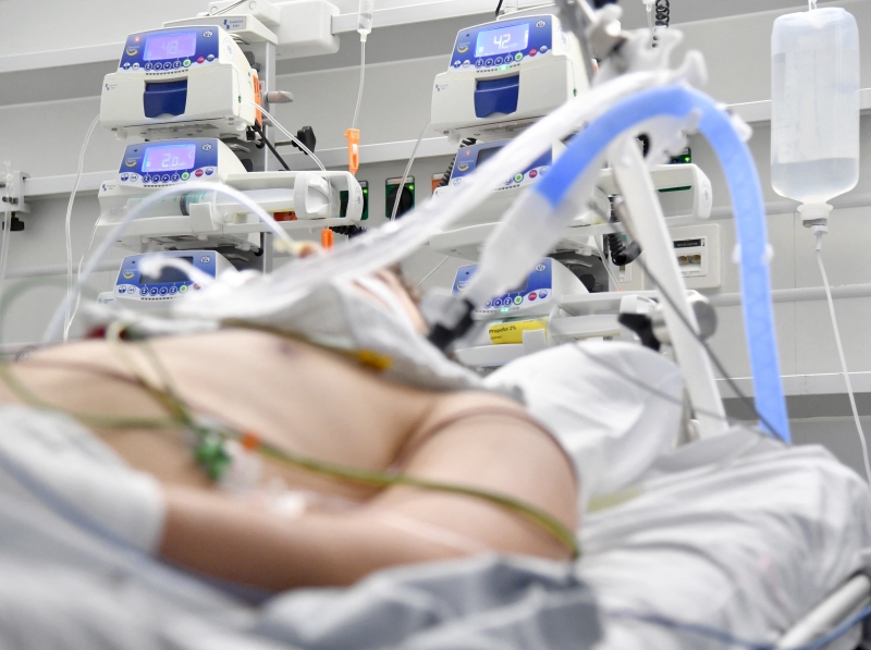 A média móvel semanal, que elimina as distorções entre dias úteis e fim de semana, é de 245