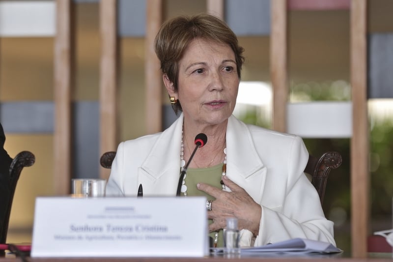 Ministra da Agricultura, Tereza Cristina participou de rodada de negociação