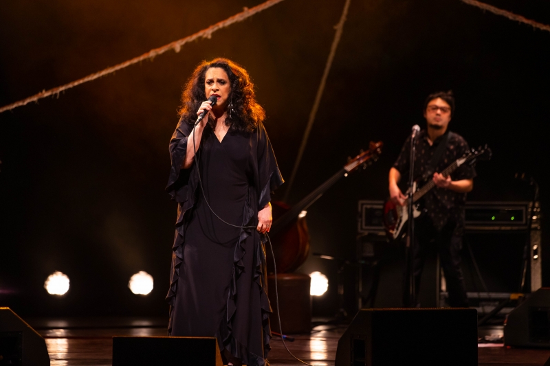 Cantora volta a Porto Alegre para show no Salão de Atos da Pucrs nesta quinta-feira (2)