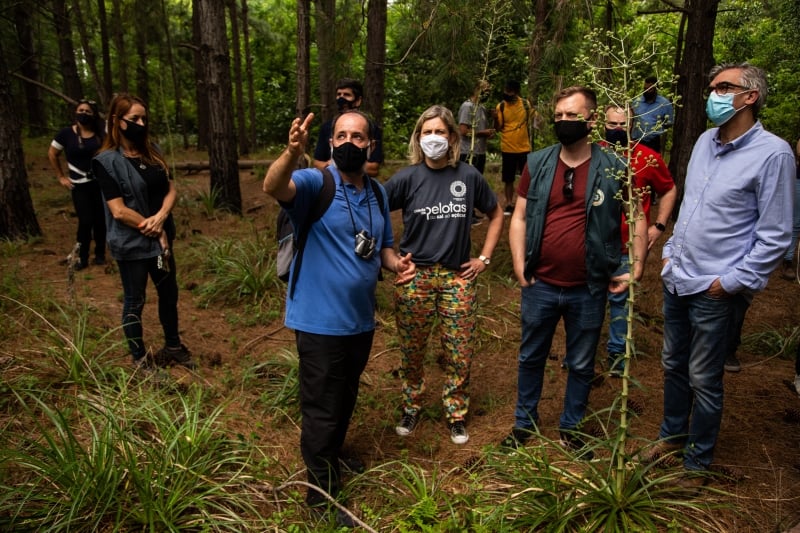 Dunas do Pontal da Barra devem receber selo de proteção, a partir de estudo realizado pela UFPel