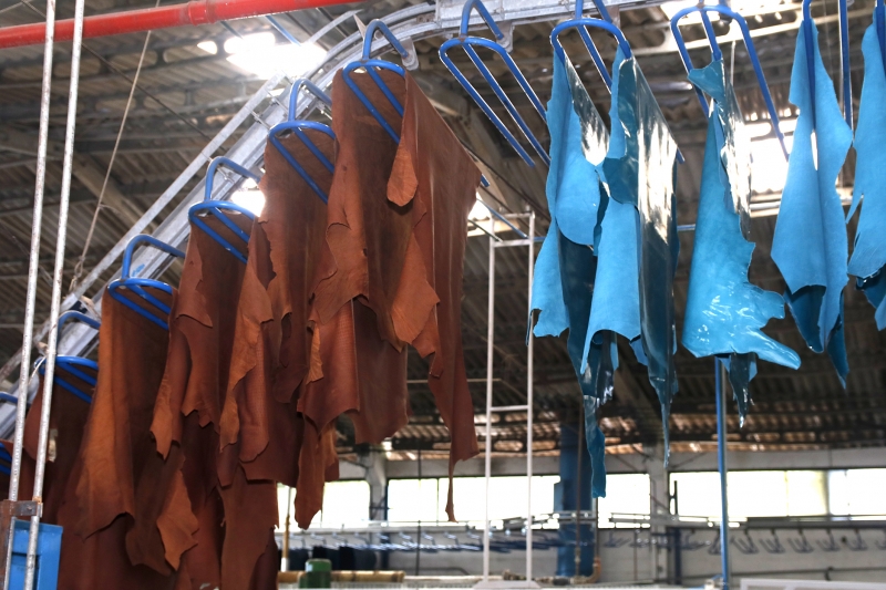 Couro acabado produzido na região tem selo de procedência